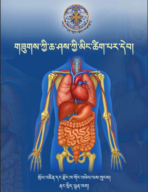 Pictorial Terminology of a Human Body